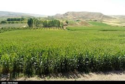 کشاورزان خراسان شمالی از اسید آمینه برای جلوگیری از سرمازدگی محصولات استفاده کنند