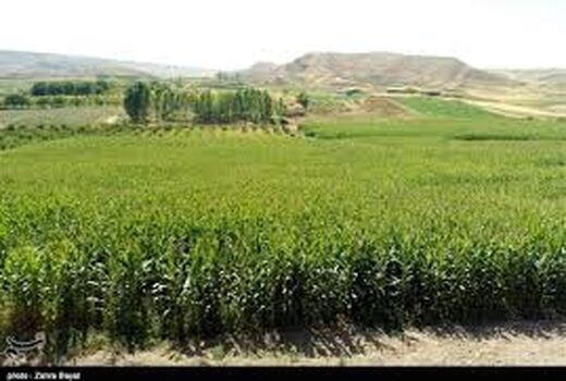 کشاورزان خراسان شمالی از اسید آمینه برای جلوگیری از سرمازدگی محصولات استفاده کنند
