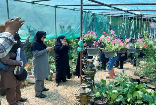 توان افزایی و توسعه اشتغال زنان روستایی و عشایری در استان بوشهر 