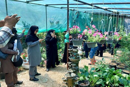 توان افزایی و توسعه اشتغال زنان روستایی و عشایری در استان بوشهر 