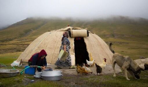 زن عشایری؛ زندگی در مسیر کوچ، تولید و حفظ یک فرهنگ