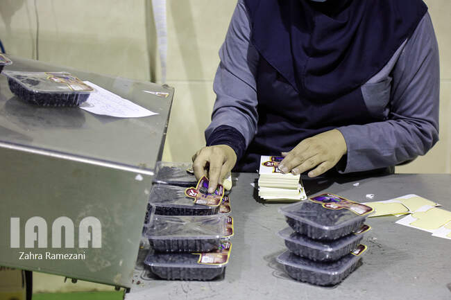 کارخانه بسته بندی مواد غذایی برتر