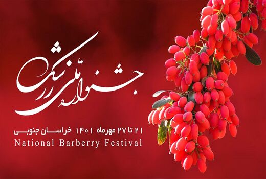 آغاز جشنواره برداشت یاقوت سرخ