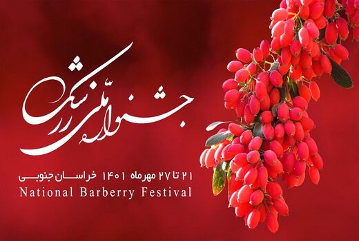آغاز جشنواره برداشت یاقوت سرخ