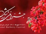 آغاز جشنواره برداشت یاقوت سرخ
