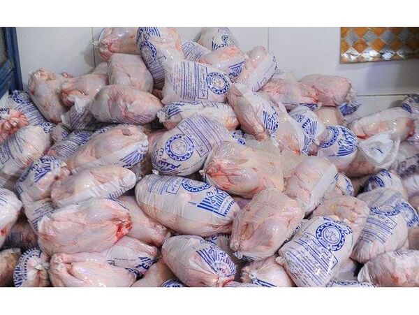 تولید 390 تن گوشت مرغ در محمودآباد