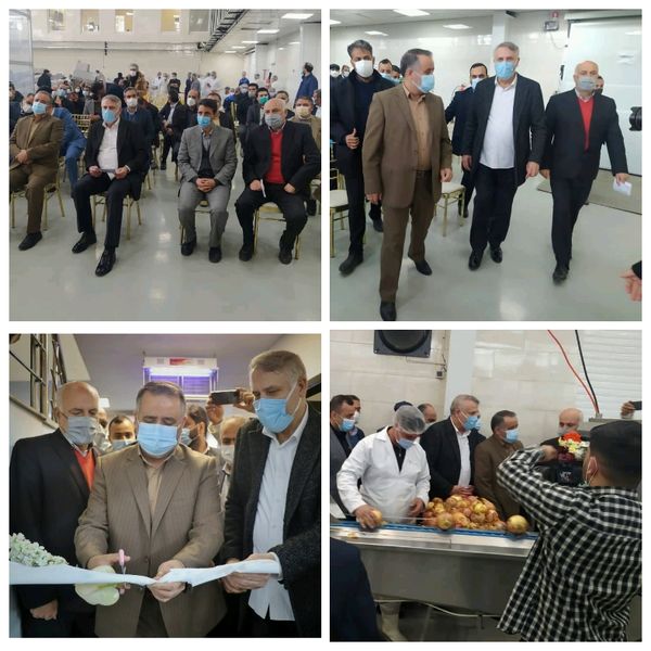 یک واحد تولید کننده مواد غذایی بسته‌بندی صادراتی در گرمسار افتتاح شد