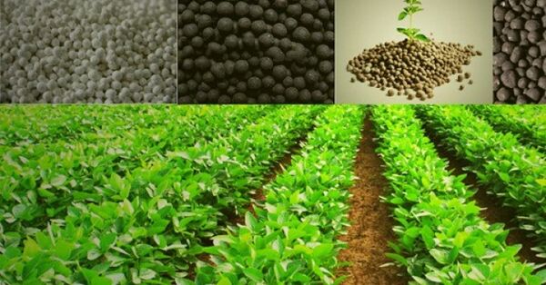 افزایش 14 برابر مصرف کودهای فسفاته و پتاسه در سالجاری در قم