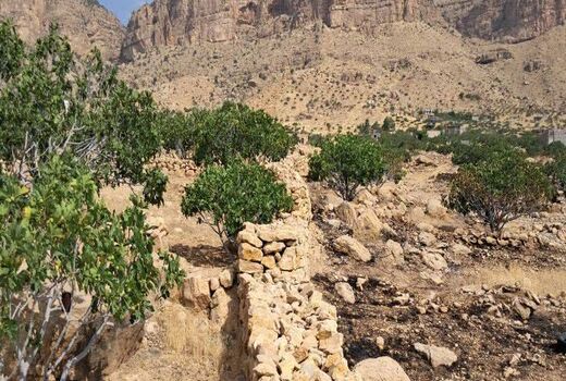 سهل‌انگاری، ۱.۳ میلیارد تومان خسارت بر جای گذاشت