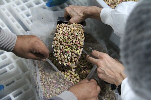 آزمایشگاه‌های ایران توان حمایت از صادرات پسته را دارند
