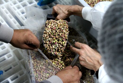 آزمایشگاه‌های ایران توان حمایت از صادرات پسته را دارند
