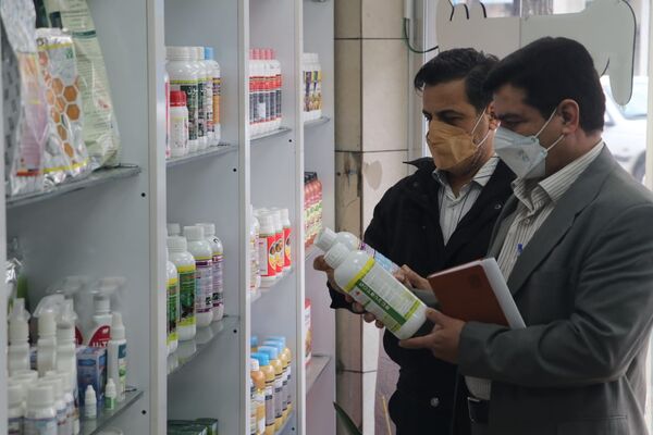 دومین مانور سراسری بازرسی و نظارت بر فروشگاه‌های توزیع آفت‌کش‌های کشاورزی در قزوین برگزار شد