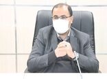 گیاهان دارویی مهمترین ظرفیت استان لرستان