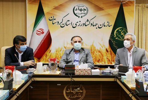 توجه دستگاه‌های نظارتی و امنیتی در مرزها قاچاق  گوشت مرغ را به صفر رساند