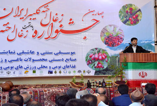 آذربایجان شرقی رتبه دوم تولید زغال اخته در کشور است