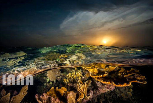 مجمع‌الجزایر باغ ملکه در کوبا 