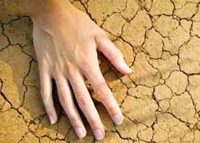 فرسایش خاک چه هزینه‌ای دارد؟