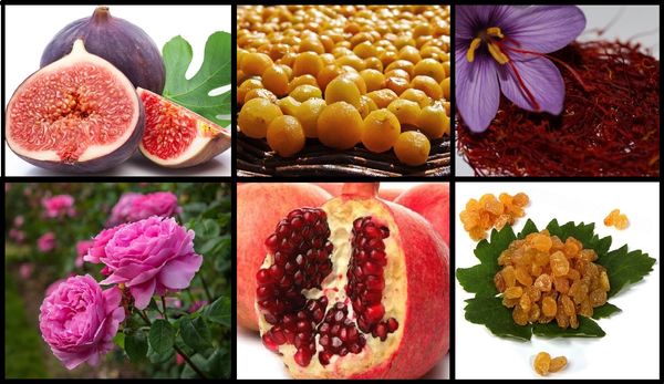 آماده‌سازی هشت میراث کشاورزی ایران برای ثبت در فائو