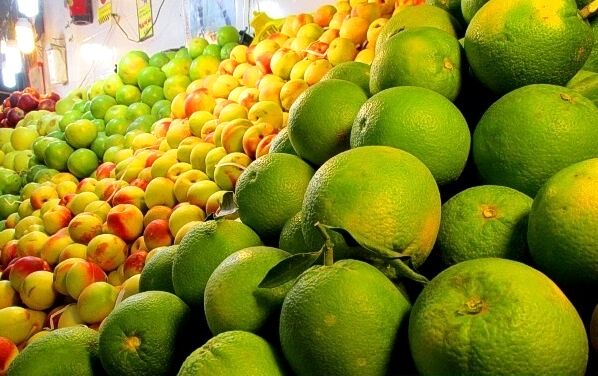 امسال 400 هزار تن مرکبات تولید می‌شود