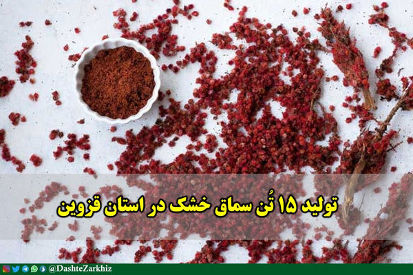 تولید ۱۵ تُن سماق خشک در استان قزوین