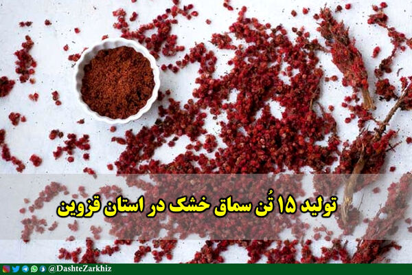 تولید ۱۵ تُن سماق خشک در استان قزوین