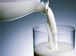 آغاز عرضه مستقیم شیر کامل پاستوریزه با نازل ترین قیمت در استان یزد + جدول نشانی فروشگاه های عرضه مستقیم