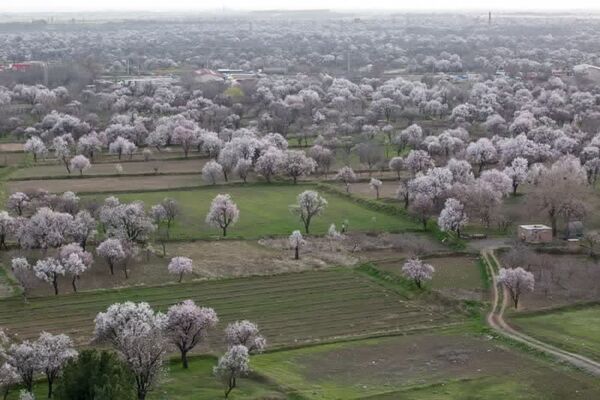 باغستان سنتی قزوین در نظام میراث جهانی ثبت شد