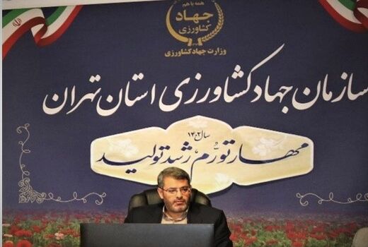افزایش ضریب استفاده از بذور استاندارد در مزارع استان تهران