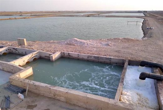 قرنطینه صحیح و رعایت اصول بهداشتی راه مقابله با بیماری‌های میگو