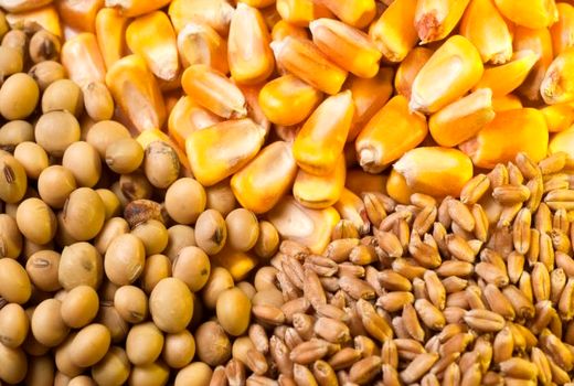 به‌روزرسانی اطلاعات بهره‌‌برداران برای توزیع عادلانه نهاده‌ها