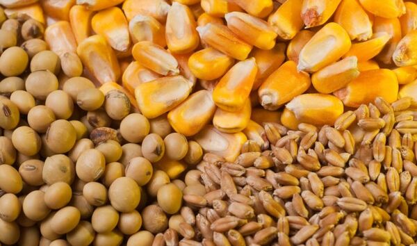 به‌روزرسانی اطلاعات بهره‌‌برداران برای توزیع عادلانه نهاده‌ها