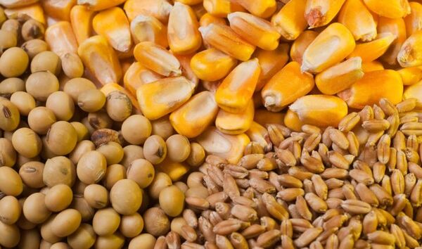 به‌روزرسانی اطلاعات بهره‌‌برداران برای توزیع عادلانه نهاده‌ها