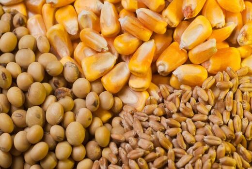 به‌روزرسانی اطلاعات بهره‌‌برداران برای توزیع عادلانه نهاده‌ها