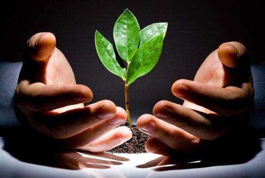 اهمیت استفاده از ظرفیت‌های کارآفرینی در بخش کشاورزی