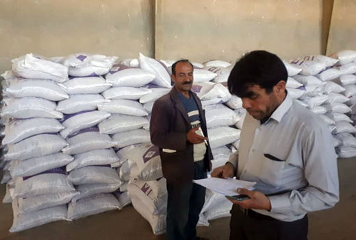 توزیع  262 تن نهاده دامی جو و 215 تن کنسانتره در بین دامداران شهرستان خداآفرین