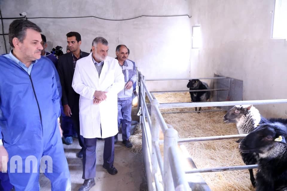 افتتاح مرکز تولید مواد ژنی دام سبک توسط دکتر جهانگیری در فیروزکوه
