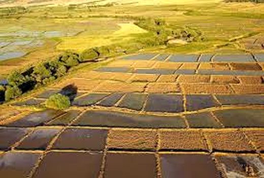 پراکندگی اراضی کشاورزی از مهم‌ترین موانع تحقق توسعه پایدار است