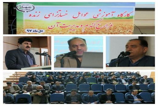 برگزاری کارگاه آموزشی عوامل خسارتزای زنده مزارع گندم