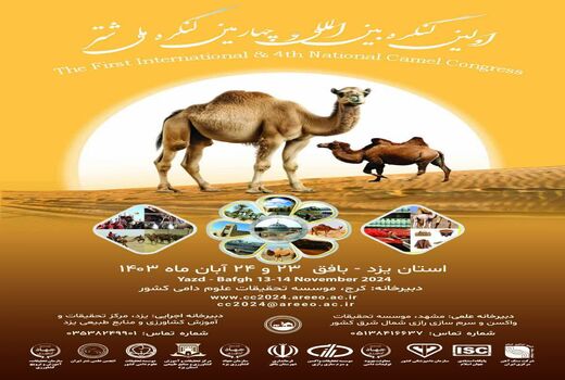 شهرستان بافق؛ میزبان اولین کنگره بین‌المللی شتر