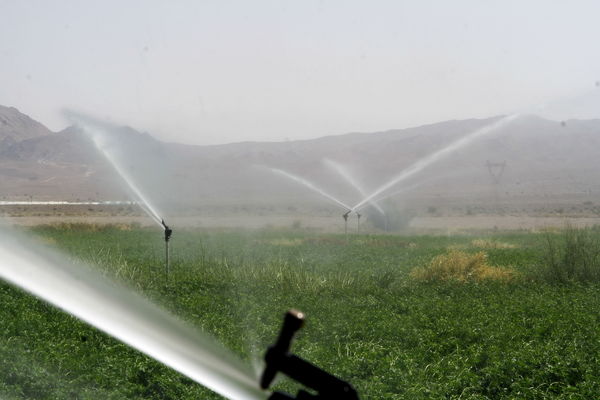 آغاز عملیات اجرایی آبیاری تحت فشار شاخه شمالی دشت میناب 