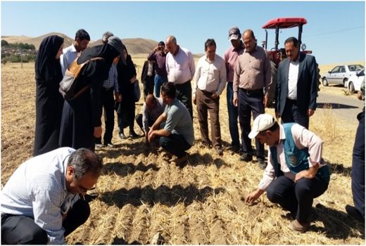 برگزاری کارگاه های آموزشی تنظیم و کالیبراسیون ردیف کارها و دستگاه های  کشت مستقیم در هوراند