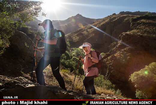 کوه پیمایی تفریح تهرانی ها