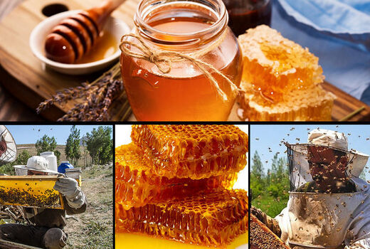 بورس عسل در آینده نزدیک راه‌اندازی می‌شود