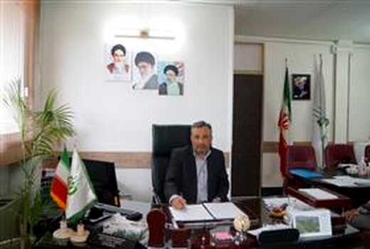 خرید تضمینی بیش از ۸۷ هزارتن گندم توسط سازمان تعاون روستایی خراسان رضوی