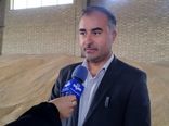 خرید تضمینی ۲۸۲ هزار تن گندم از زارعین آذربایجان‌غربی/ پیش بینی تولید ۷۰۰ هزار تن گندم