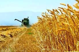 هم افزایی و تعامل بین بخش های مختلف کشاورزی خوزستان
