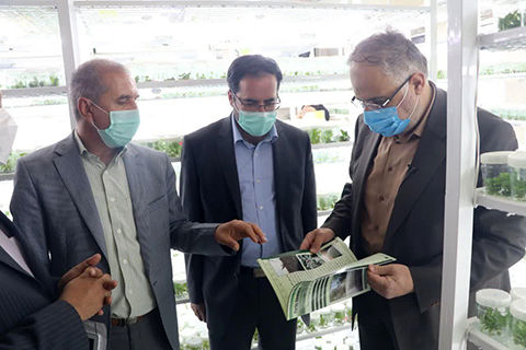 استاندار قزوین از یک  شرکت دانش بنیان کشاورزی بازدید کرد
