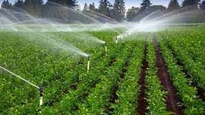 مطالعه توسعه طرح‌های سیستم آبیاری نوین در بیش از 6 هزار هکتار از اراضی خراسان شمالی