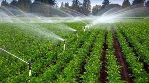 مطالعه توسعه طرح‌های سیستم آبیاری نوین در بیش از 6 هزار هکتار از اراضی خراسان شمالی