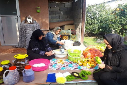 تشکیل ۹صندوق اعتباری خرد زنان روستایی در سال ۹۸
